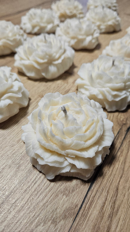 Flora