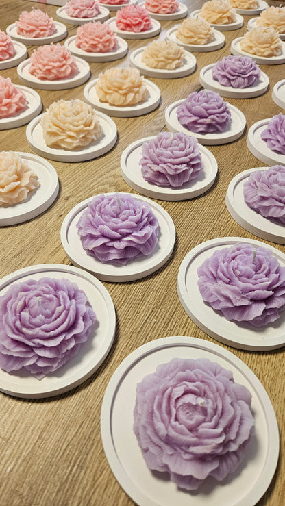 Flora