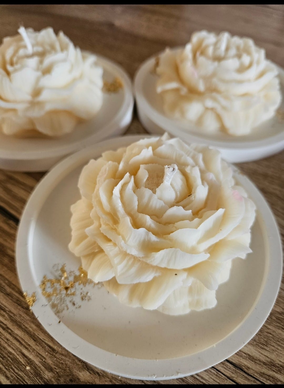 Flora