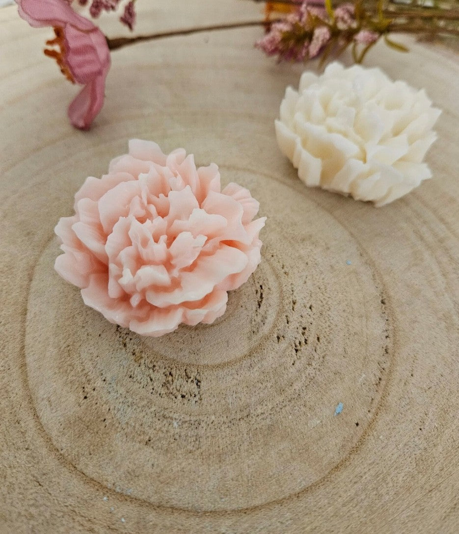 Mini Peonia